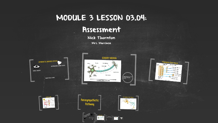 MODULE 3 LESSON 03.04: Assessment by Nick Thornton on Prezi