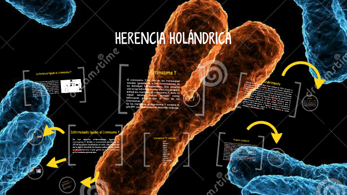 HERENCIA HOLÁNDRICA by Mirian Yanina on Prezi