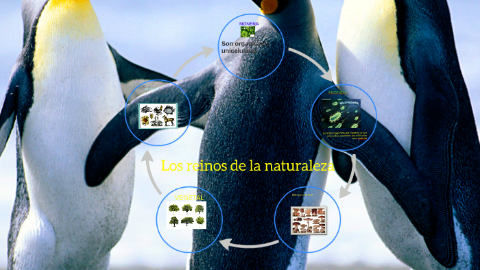 los reinos de la naturaleza by Jorge Salas De La hoz on Prezi
