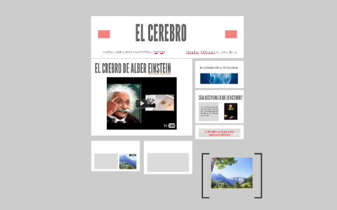 EL CEREBRO by on Prezi