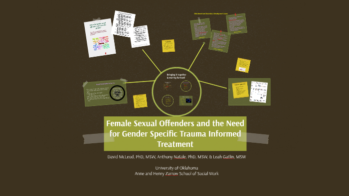 APM 17 Female Sexual Offenders and the Need for Gender Specific