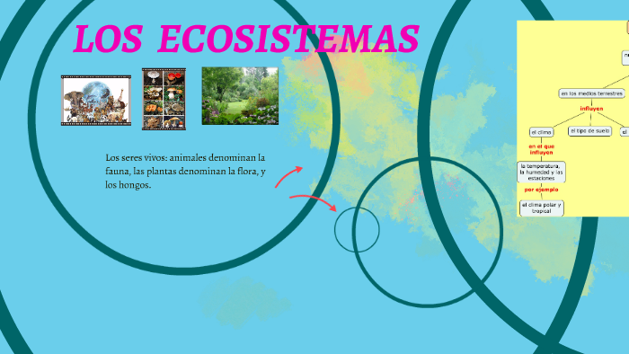 LOS ECOSISTEMAS by Verónica dominguez on Prezi