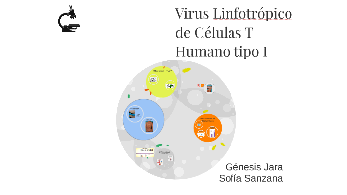 Virus Linfotrópico de Células T Humano tipo I by on Prezi