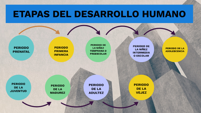 ETAPAS DEL DESARROLLO HUMANO by kerli carranza huatangari on Prezi