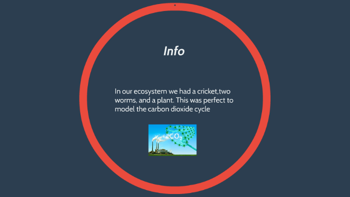 The carbon cycle by jorge zarco on Prezi
