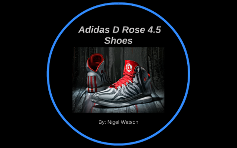 d rose 4.5 shoes