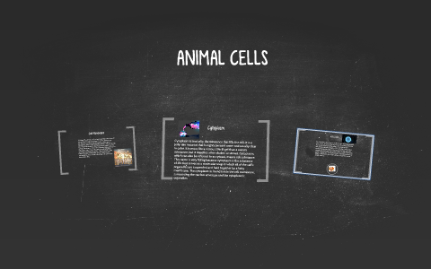 Animal Cells by Ryan L on Prezi