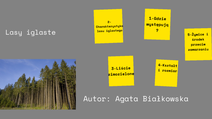 Lasy iglaste by Agata Białkowska on Prezi