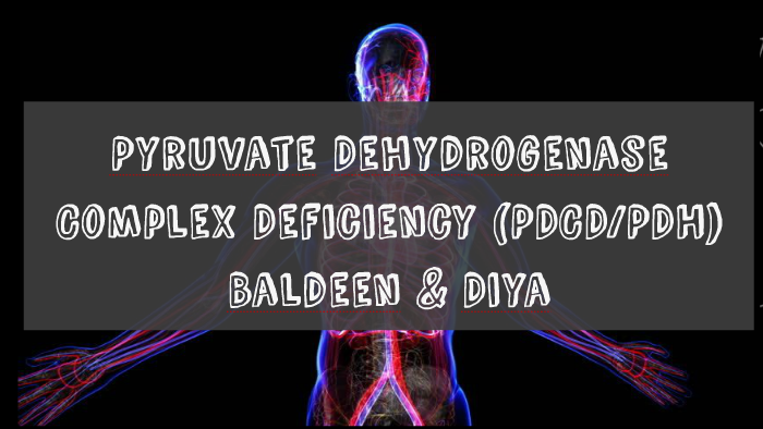 Pyruvate Dehydrogenase Complex Deficiency By Diya Vekaria On Prezi