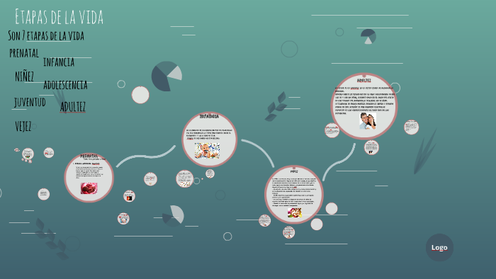 Etapas de la vida by Aline Lozano on Prezi