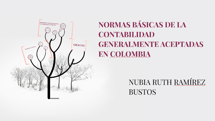 Normas Basicas De La Contabilidad Generalmente Aceptada En C By Nubia ...