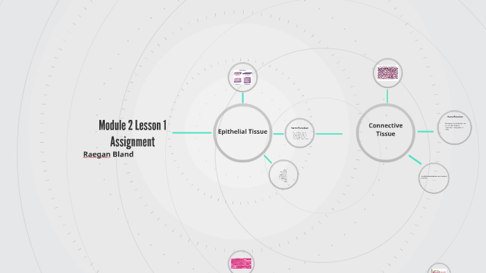 Module 2 Lesson 1 Assignment by Raegan Bland on Prezi