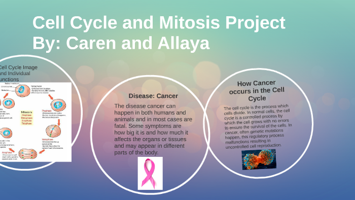 Cell Cycle and Mitosis Project by allaya cantu on Prezi