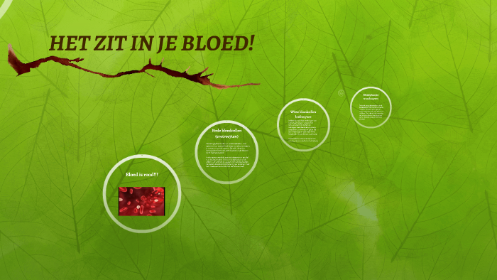 HET ZIT IN JE BLOED! by toziena benak on Prezi
