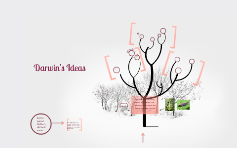 16.2 Applying Darwin's Ideas by Brianna Bryant on Prezi