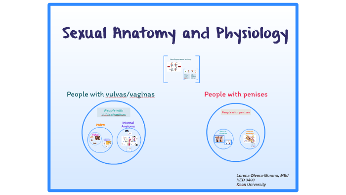 Sexual Anatomy And Physiology By Lorena Olvera On Prezi 1269