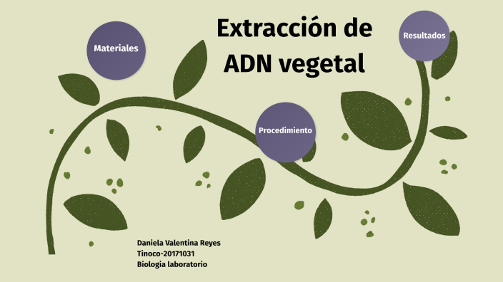 Extracción de ADN vegetal by Daniela Reyes Tinoco on Prezi