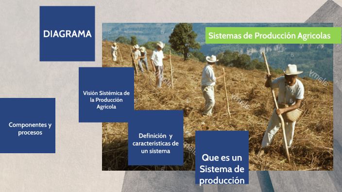 Sistemas de Producción Agricolas by Hugo isidro Pérez Becerra on Prezi