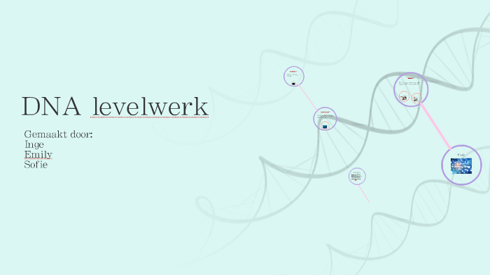 DNA levelwerk by Groep 8c