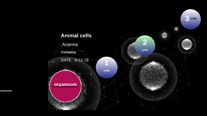 animal cells by arianna watson on Prezi