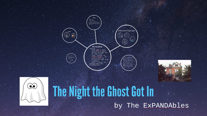the night the ghost got in essay