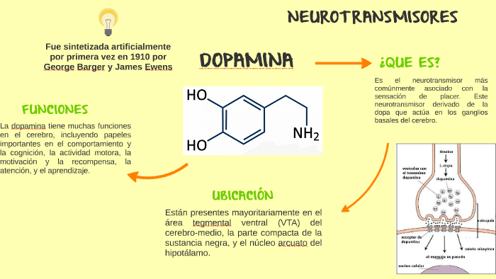 FUNCION DE LA DOPAMINA COMO NEUROTRANSMISOR