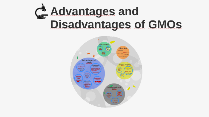 Advantages and Disadvantages of GMO by Huong Dylan