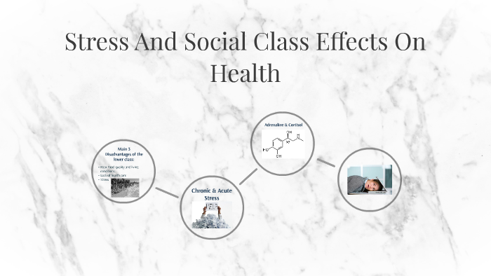 Stress And Social Effects On Health by Anita Antonova on Prezi