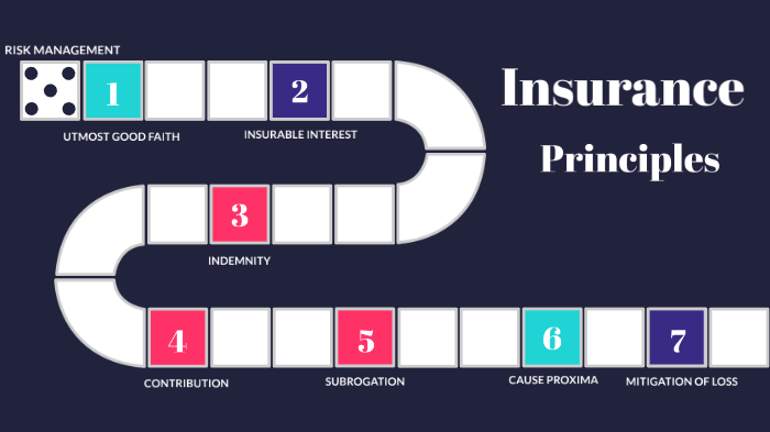 Principles of Insurance by safa wael on Prezi