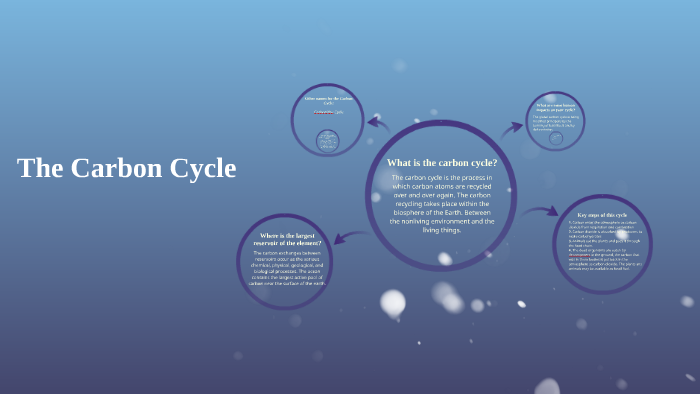 The Carbon Cycle by katie jones on Prezi