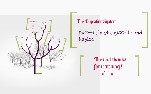 Digestive system by Tori Galindo on Prezi