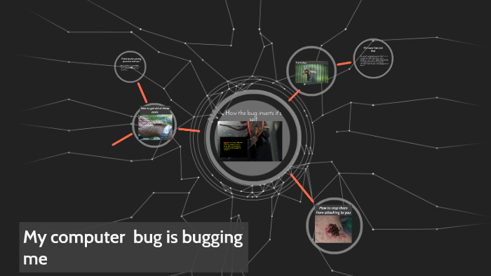 My computer bug is bugging me by Mthobisi Maphumulo on Prezi