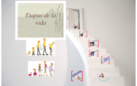 Etapas de la vida by katherin cruz cabrera on Prezi