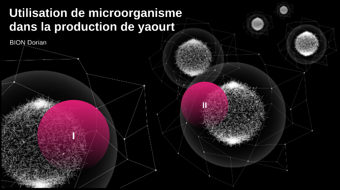 Utilisation de microorganisme dans la production de yaourt by dorian ...