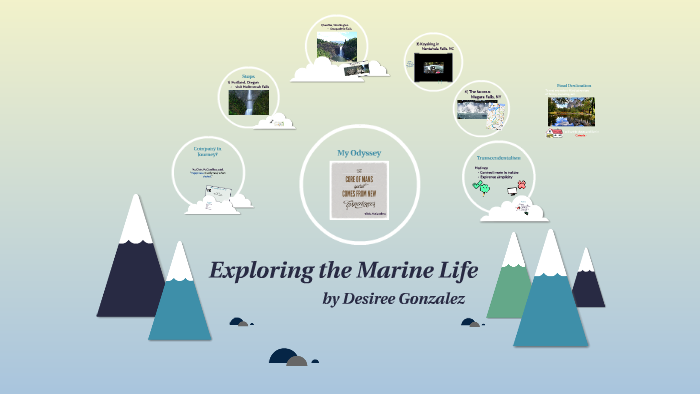 Exploring the Marine Life by desiree gonzalez on Prezi