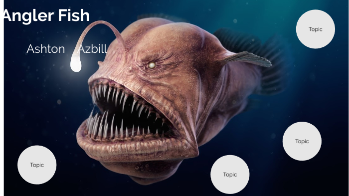 Angler Fish by Ashton Azbill on Prezi