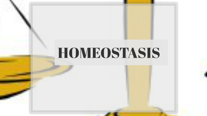 homeostasis animal y vegetal by Leo Carmona on Prezi