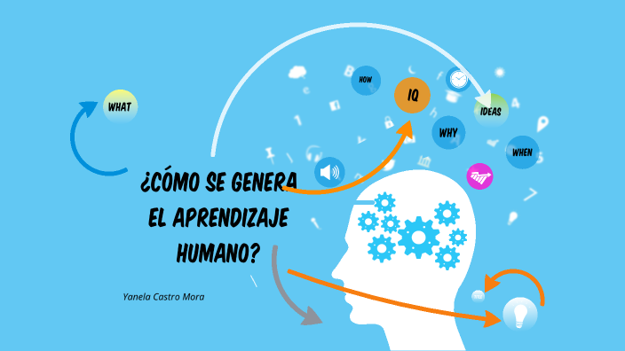 Mapa Mental Capitulo 3 by andres cortes on Prezi