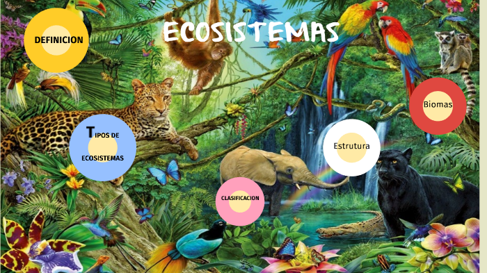 ecosistemas by joanniitha