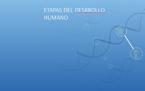 ETAPAS DEL DESRROLLO HUMANO by cristian colombara gonzalez