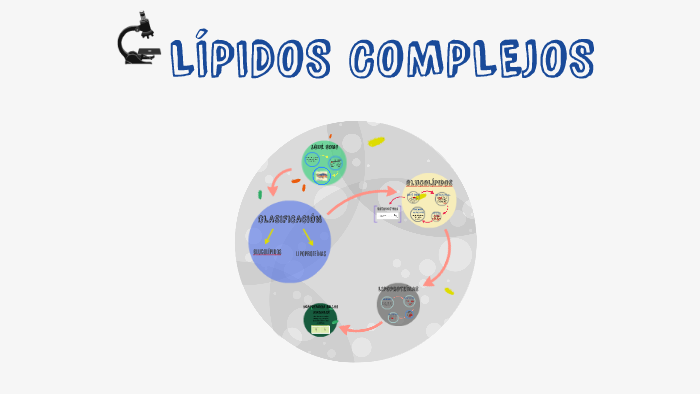 LÍpidos Complejos By Diana Ovalle On Prezi 7181