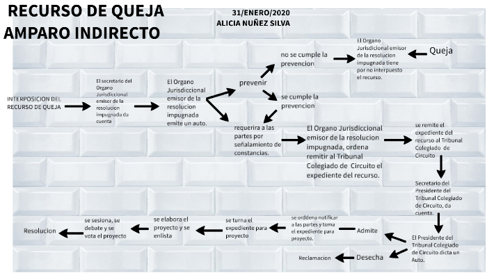 INTERPOSICION DEL AMPARO DE QUEJA by alicia nuñez silva on Prezi