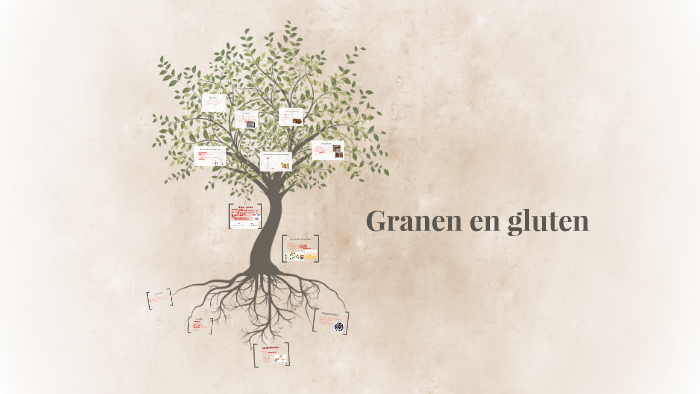 Granen En Gluten By Laura Willems On Prezi