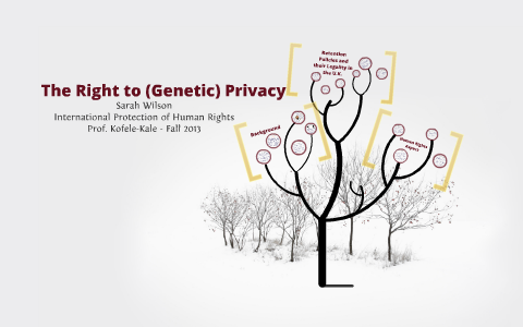 right to privacy article 8 echr