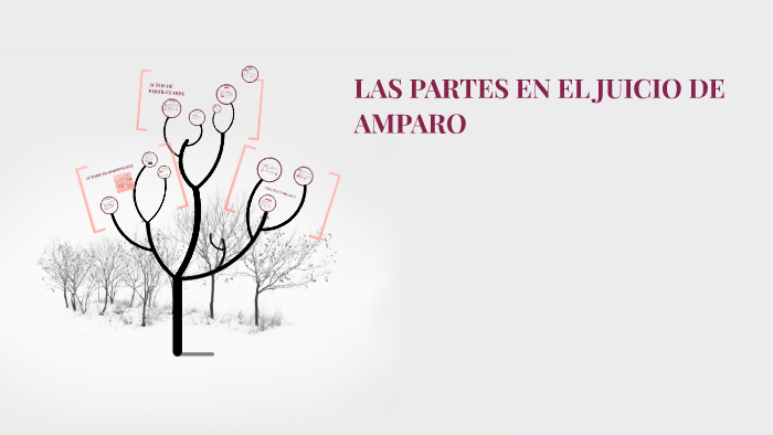 LAS PARTES EN EL JUICIO DE AMPARO by ana karen balderas on Prezi