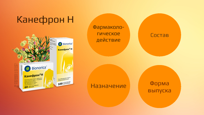 Состав канефрона