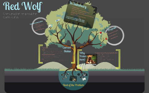 Red Wolf Project by Molly Joyce on Prezi