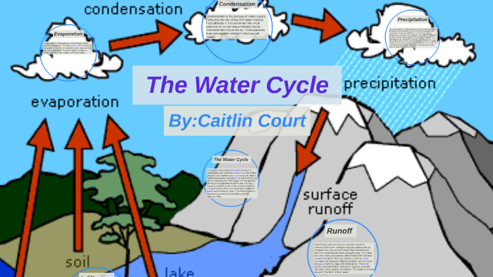 The Water Cycle by Caitlin Court on Prezi