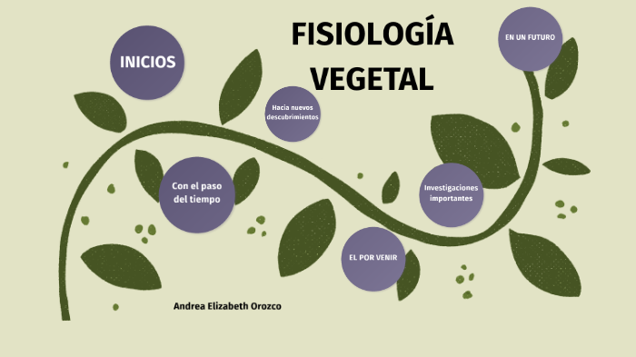 FISIOLOGÍA VEGETAL By Andrea Elizabeth On Prezi