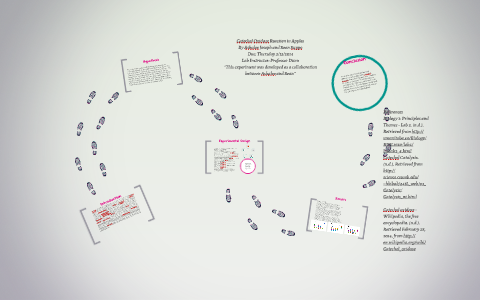 catechol oxidase experiments